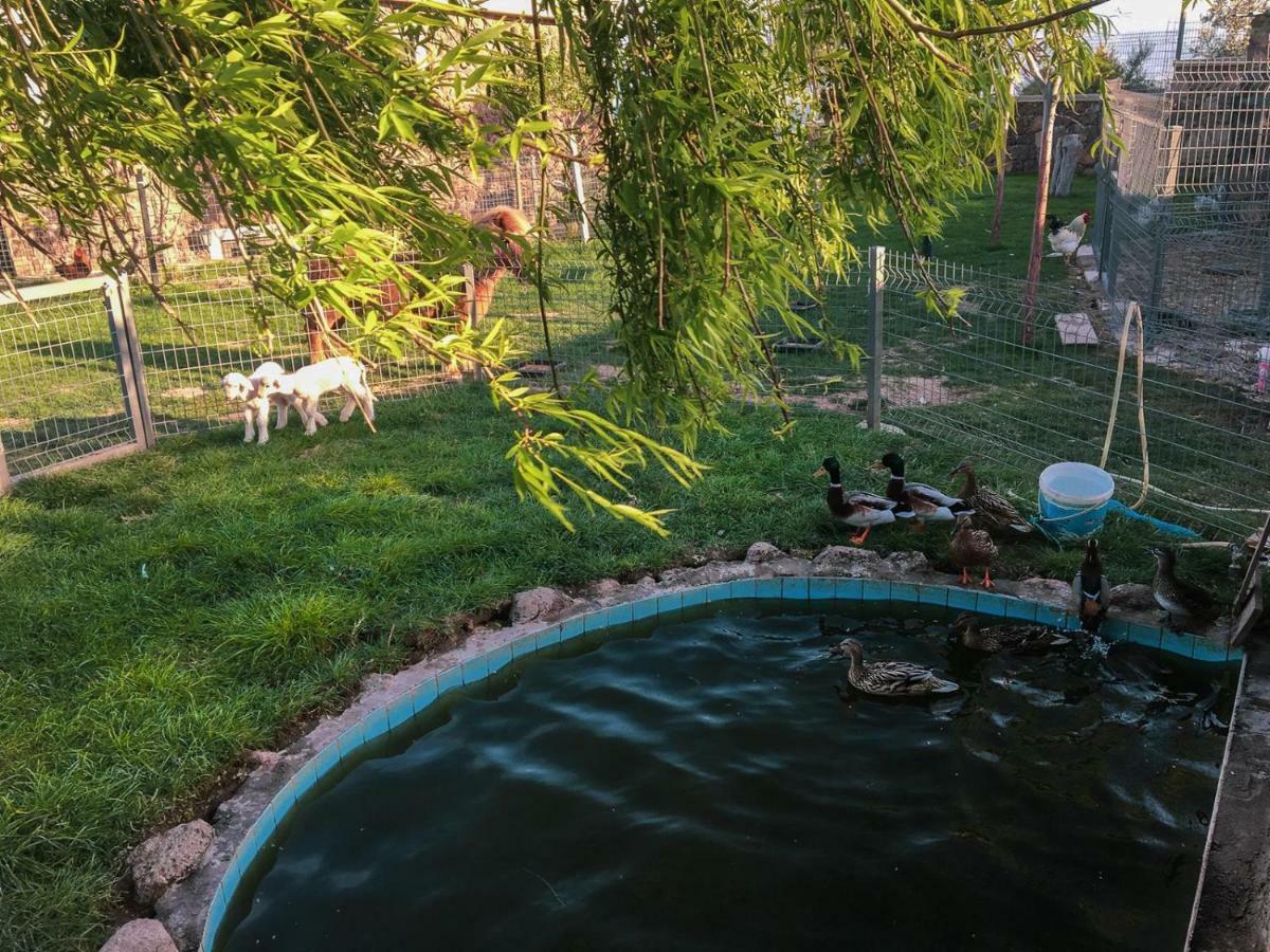 Assos Alis Farm Boutique Hotel & Spa Zewnętrze zdjęcie
