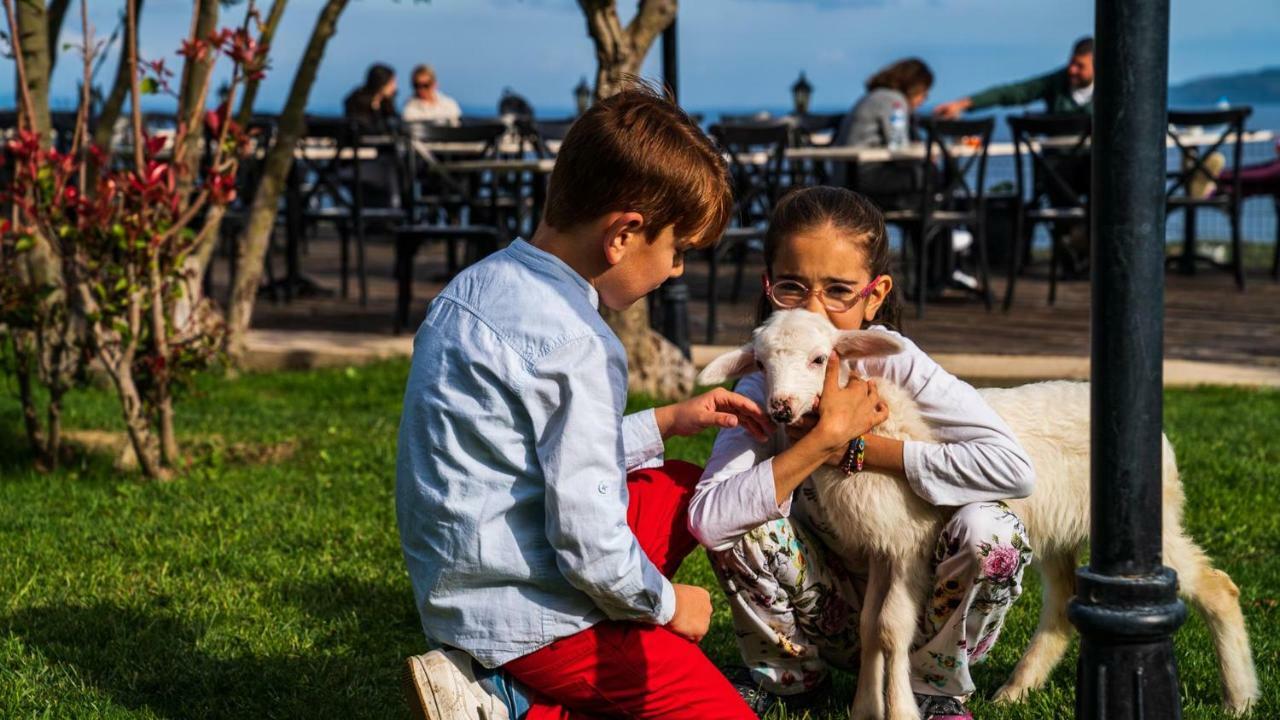 Assos Alis Farm Boutique Hotel & Spa Zewnętrze zdjęcie