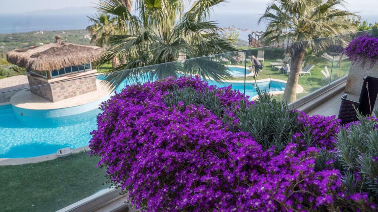 Assos Alis Farm Boutique Hotel & Spa Zewnętrze zdjęcie