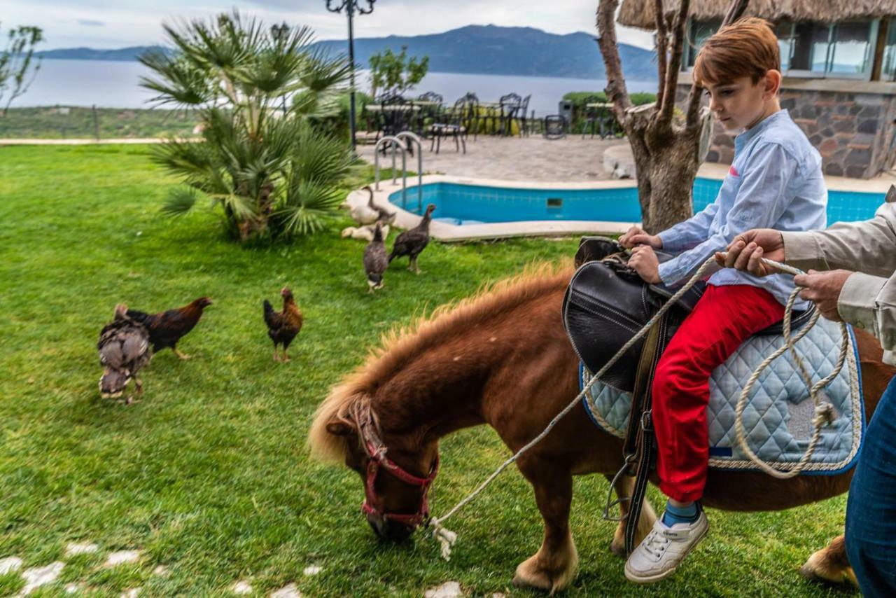 Assos Alis Farm Boutique Hotel & Spa Zewnętrze zdjęcie