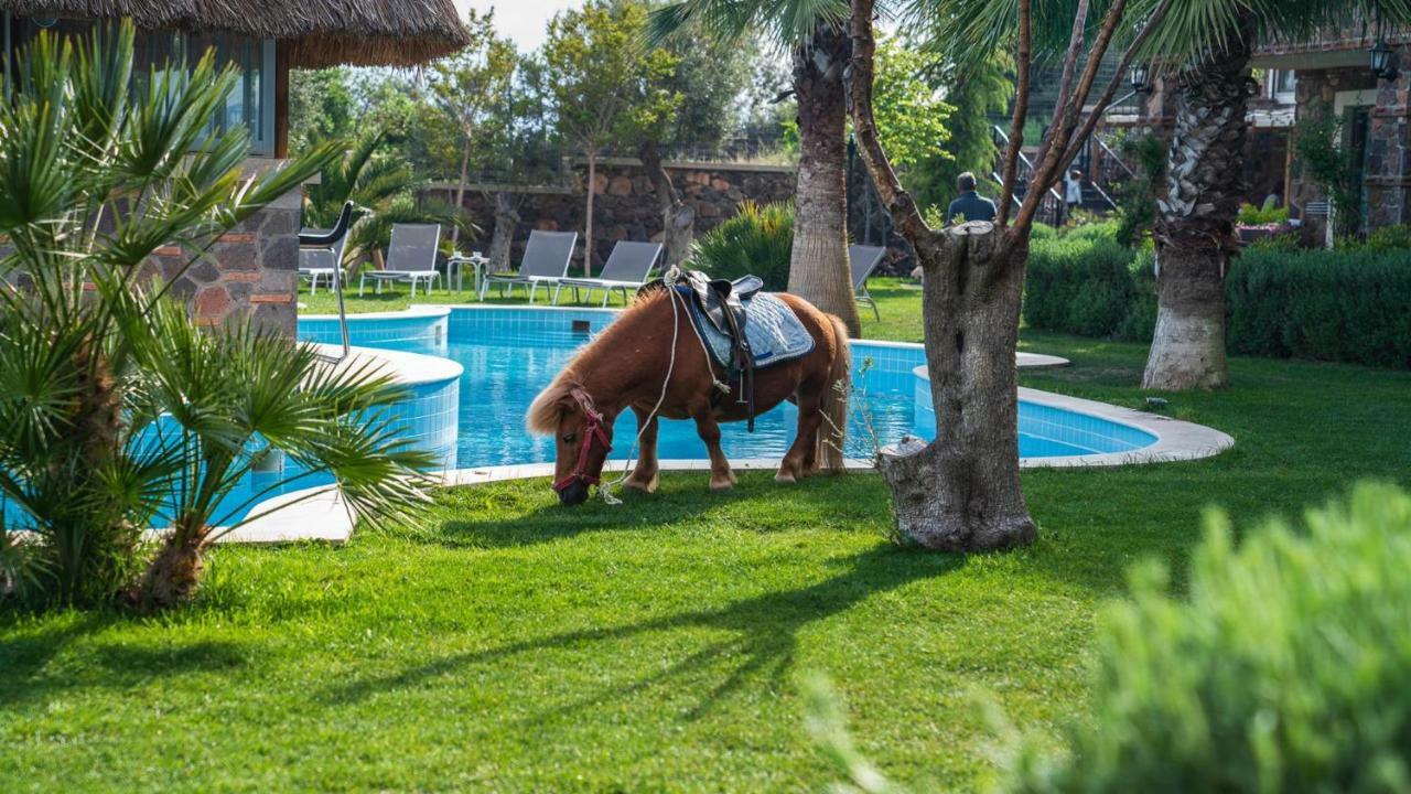 Assos Alis Farm Boutique Hotel & Spa Zewnętrze zdjęcie