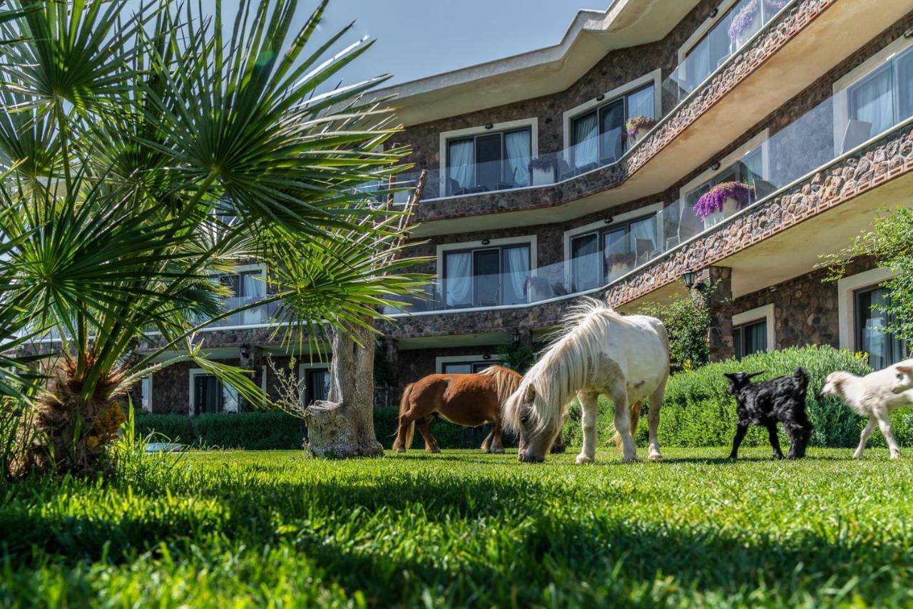 Assos Alis Farm Boutique Hotel & Spa Zewnętrze zdjęcie