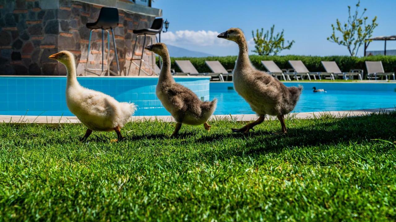 Assos Alis Farm Boutique Hotel & Spa Zewnętrze zdjęcie