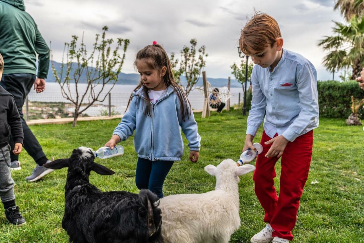 Assos Alis Farm Boutique Hotel & Spa Zewnętrze zdjęcie