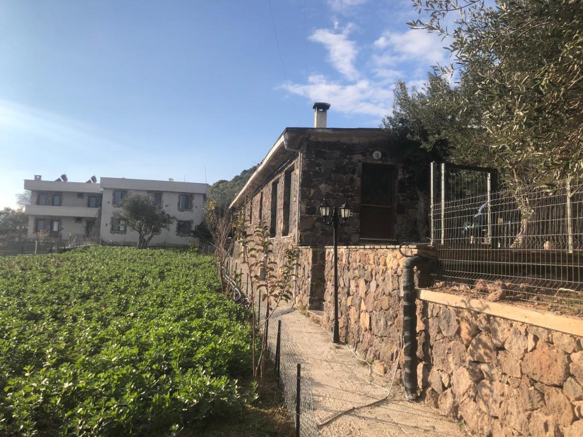 Assos Alis Farm Boutique Hotel & Spa Zewnętrze zdjęcie
